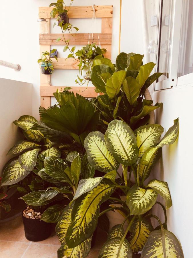 Sasha House - Behind The Zoo, サービスアパート! Apartment Ho Chi Minh City